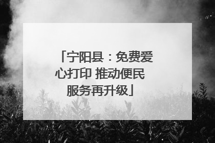宁阳县：免费爱心打印 推动便民服务再升级