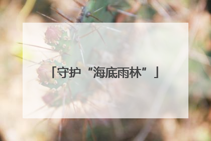 守护“海底雨林”