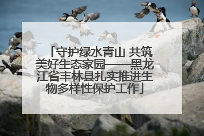 守护绿水青山 共筑美好生态家园——黑龙江省丰林县扎实推进生物多样性保护工作
