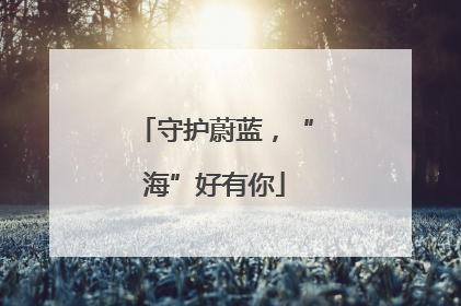 守护蔚蓝，“海”好有你