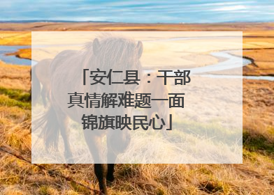 安仁县：干部真情解难题一面锦旗映民心