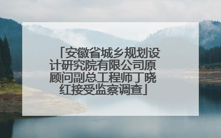 安徽省城乡规划设计研究院有限公司原顾问副总工程师丁晓红接受监察调查