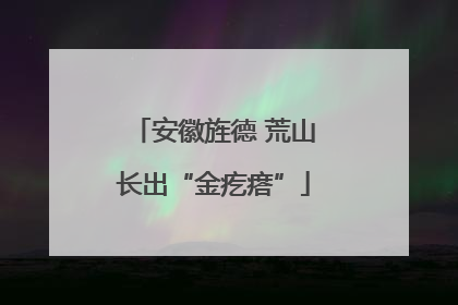安徽旌德 荒山长出“金疙瘩”