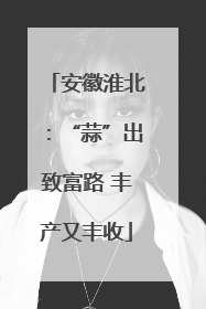 安徽淮北：“蒜”出致富路 丰产又丰收