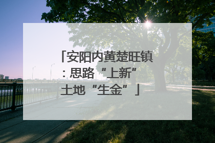 安阳内黄楚旺镇：思路“上新” 土地“生金”