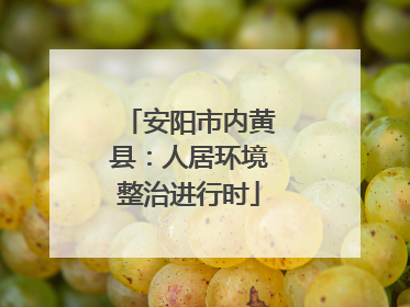 安阳市内黄县：人居环境整治进行时