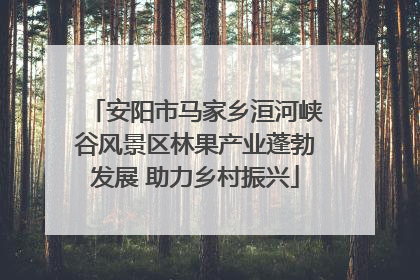 安阳市马家乡洹河峡谷风景区林果产业蓬勃发展 助力乡村振兴
