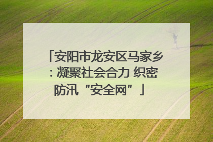 安阳市龙安区马家乡：凝聚社会合力 织密防汛“安全网”