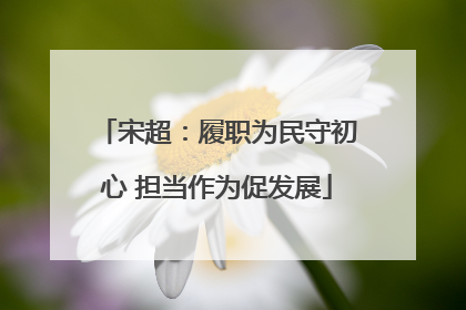 宋超：履职为民守初心 担当作为促发展