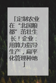 定制农业在“北国粮都”茁壮生长！企业：用算力指导生产，扁平化管理种地