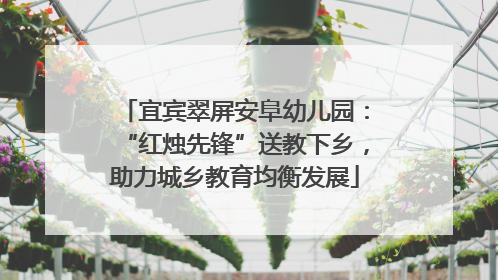 宜宾翠屏安阜幼儿园：“红烛先锋”送教下乡，助力城乡教育均衡发展