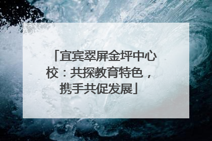 宜宾翠屏金坪中心校：共探教育特色，携手共促发展