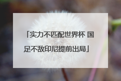 实力不匹配世界杯 国足不敌印尼提前出局