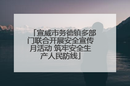 宣威市务德镇多部门联合开展安全宣传月活动 筑牢安全生产人民防线