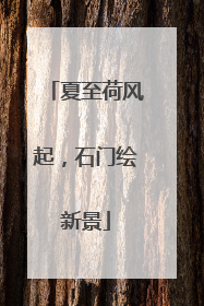 夏至荷风起，石门绘新景