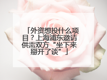 外资想投什么项目？上海浦东邀请供需双方“坐下来掰开了谈”