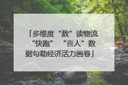 多维度“数”读物流“快跑” “喜人”数据勾勒经济活力画卷