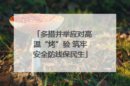 多措并举应对高温“烤”验 筑牢安全防线保民生