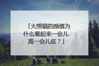 大熊猫的颜值为什么看起来一会儿高一会儿低？