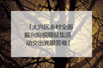 大兴区乡村全面振兴短视频征集活动交出亮眼答卷
