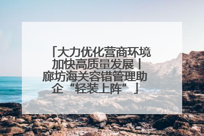 大力优化营商环境 加快高质量发展丨廊坊海关容错管理助企“轻装上阵”