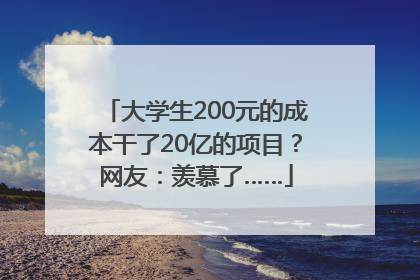 大学生200元的成本干了20亿的项目？网友：羡慕了……
