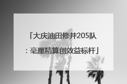 大庆油田修井205队：毫厘精算创效益标杆