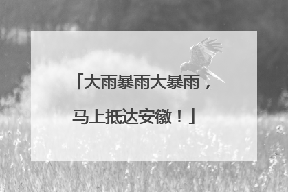 大雨暴雨大暴雨，马上抵达安徽！