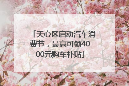 天心区启动汽车消费节，最高可领4000元购车补贴