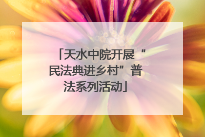 天水中院开展“民法典进乡村”普法系列活动