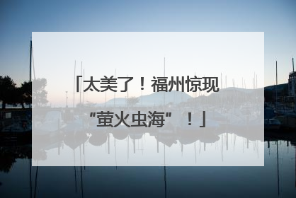 太美了！福州惊现“萤火虫海”！