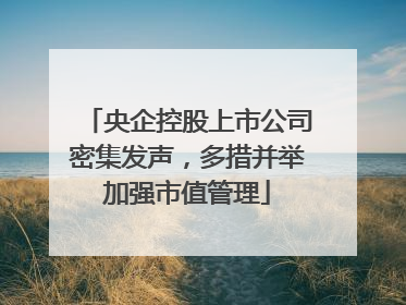 央企控股上市公司密集发声，多措并举加强市值管理