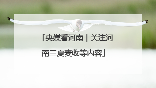 央媒看河南｜关注河南三夏麦收等内容