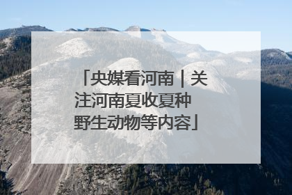 央媒看河南｜关注河南夏收夏种 野生动物等内容