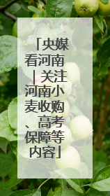 央媒看河南｜关注河南小麦收购、高考保障等内容