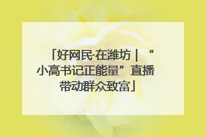好网民·在潍坊｜“小高书记正能量”直播 带动群众致富