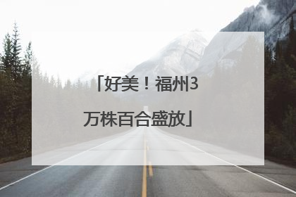好美！福州3万株百合盛放