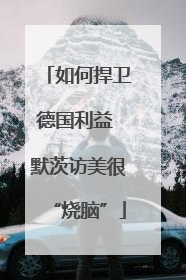 如何捍卫德国利益 默茨访美很“烧脑”