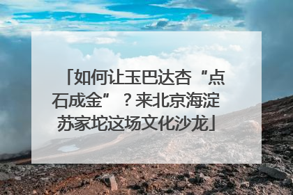 如何让玉巴达杏“点石成金”？来北京海淀苏家坨这场文化沙龙