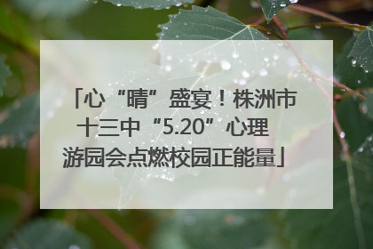 心“晴”盛宴！株洲市十三中“5.20”心理游园会点燃校园正能量