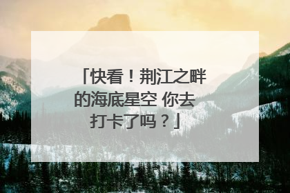 快看！荆江之畔的海底星空 你去打卡了吗？