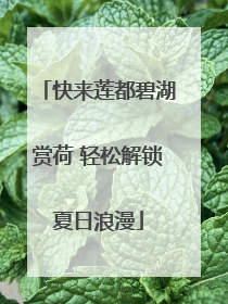 快来莲都碧湖赏荷 轻松解锁夏日浪漫