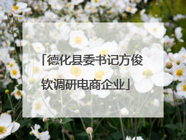 德化县委书记方俊钦调研电商企业
