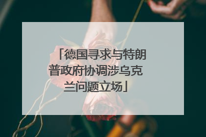 德国寻求与特朗普政府协调涉乌克兰问题立场