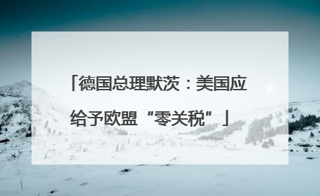 德国总理默茨：美国应给予欧盟“零关税”