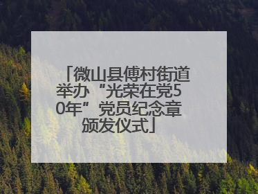 微山县傅村街道举办“光荣在党50年”党员纪念章颁发仪式