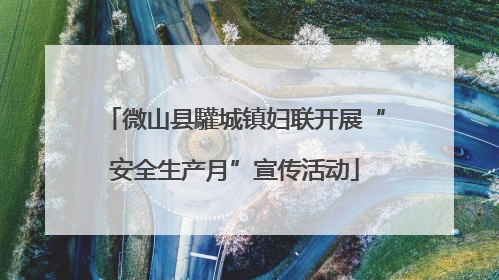 微山县驩城镇妇联开展“安全生产月”宣传活动