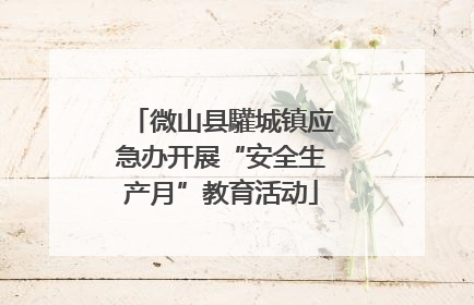 微山县驩城镇应急办开展“安全生产月”教育活动