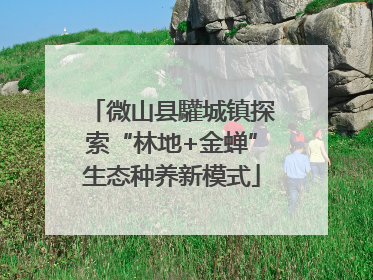 微山县驩城镇探索“林地+金蝉”生态种养新模式