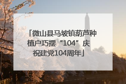 微山县马坡镇葫芦种植户巧摆“104”庆祝建党104周年